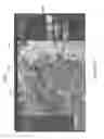 Fig. 32 - Systems and methods for split screen display of biological specimen and for capturing records thereof
