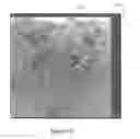 Fig. 35 - Systems and methods for split screen display of biological specimen and for capturing records thereof
