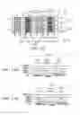 Fig. 09 - Display device and electronic device