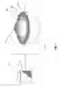 Fig. 02 - FULLY CERAMIC NUCLEAR FUEL AND RELATED METHODS