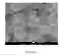 Fig. 09 - Metal microparticles provided with projections