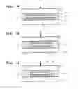 Fig. 02 - Membrane switch and object employing same
