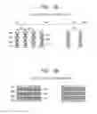 Fig. 08 - Semiconductor device and layout design system