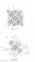 Fig. 02 - Display panel and pixel array thereof