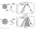 Fig. 01 - Tailoring the optical gap and absorption strength of silicon quantum dots by surface modification with conjugated organic moieties