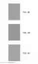 Fig. 06 - DISPLAY PANEL AND MOTHER BOARD INCLUDING THE SAME