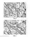Fig. 02 - High capacity electrodes