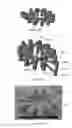 Fig. 44 - Miniature RF and microwave components and methods for fabricating such components