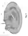 Fig. 07 - Antenna System