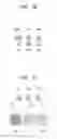 Fig. 05 - Image pickup apparatus including lens elements having different diameters