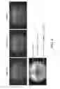 Fig. 04 - Vision systems and methods for analysing images taken by image sensors