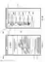 Fig. 34 - Wirelessly operable cooking appliance