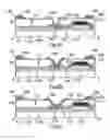 Fig. 03 - Display device and manufacturing method thereof