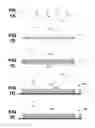 Fig. 02 - Grid and nanostructure transparent conductor for low sheet resistance applications