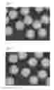 Fig. 02 - Cu ball