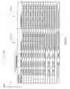 Fig. 35 - Agricultural toolbar apparatus, systems and methods