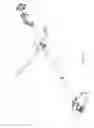 Fig. 09 - Grass Trimmer