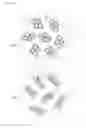 Fig. 02 - ARTIFICIAL SOIL AGGREGATE AND ARTIFICIAL SOIL MEDIUM
