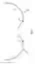 Fig. 07 - Livestock feeding rack