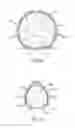 Fig. 09 - Livestock feeding rack