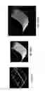 Fig. 25 - Methods for making appetizing and dentally efficacious animal chews