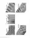 Fig. 29 - Methods for making appetizing and dentally efficacious animal chews