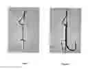 Fig. 02 - AN ACCESSORY TO A FISHHOOK