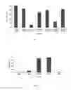 Fig. 02 - Nematotoxic composition of synergistic effect, use of a nematotoxic composition of synergistic effect