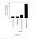 Fig. 04 - COMPOSITIONS AND METHODS FOR PREVENTING OR REDUCING RESISTANCE OF INSECTS TO INSECTICIDES