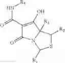 Fig. 06 - Antimicrobial compounds