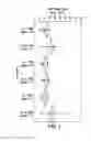 Fig. 02 - METHODS AND COMPOSITIONS FOR CONTROLLING PLANT VIRAL INFECTION