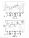 Fig. 06 - METHODS AND COMPOSITIONS FOR CONTROLLING PLANT VIRAL INFECTION