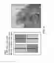 Fig. 09 - METHODS AND COMPOSITIONS FOR CONTROLLING PLANT VIRAL INFECTION