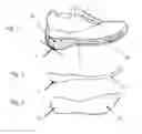 Fig. 02 - SOFT HEEL RUNNING SHOE