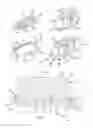 Fig. 02 - Toothbrush having a bristle area design