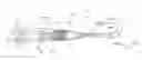 Fig. 01 - INSERTION INSTRUMENT AND ENDOSCOPE