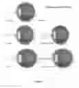 Fig. 02 - Method and System of using Photorefractive effects to examine eyes using a portable device