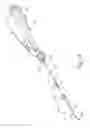 Fig. 02 - Introducer for biopsy device
