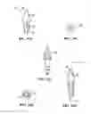 Fig. 09 - Swivel anchor for knotless fixation of tissue