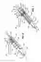 Fig. 02 - Knotless suture anchor