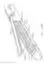 Fig. 197 - Stapling system comprising implantable layers