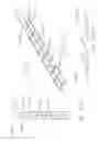 Fig. 293 - Stapling system comprising implantable layers