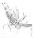 Fig. 99 - Stapling system comprising implantable layers