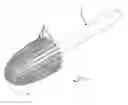 Fig. 01 - BONE CLEANING TOOL