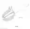 Fig. 05 - BONE CLEANING TOOL