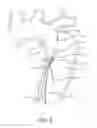 Fig. 07 - Aortic dissection septal cutting tool