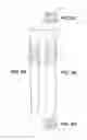 Fig. 06 - DOUBLE PORT ARTHROSCOPIC CANNULA