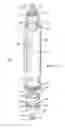 Fig. 07 - Fast adjust external fixation connection rod