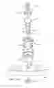Fig. 08 - Fast adjust external fixation connection rod