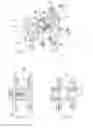 Fig. 03 - Interspinous implants with adjustable height spacer